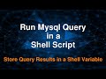 Run Mysql Query using a Shell Script