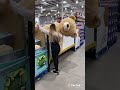 buy giant teddy bear costco 🐻😚