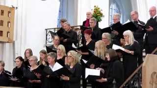 ODENSE DOMKIRKE. KORKONCERT.