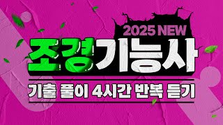 조경기능사 필기 ｜ 2021년~2023년 기출문제 풀이 4시간 반복 듣기