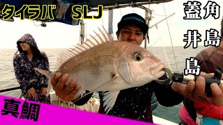 【船釣り】【タイラバ】【SLJ】せーや先生の本気！