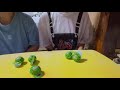 『asmr』すいかグミ食べてみた🍉オススメ！