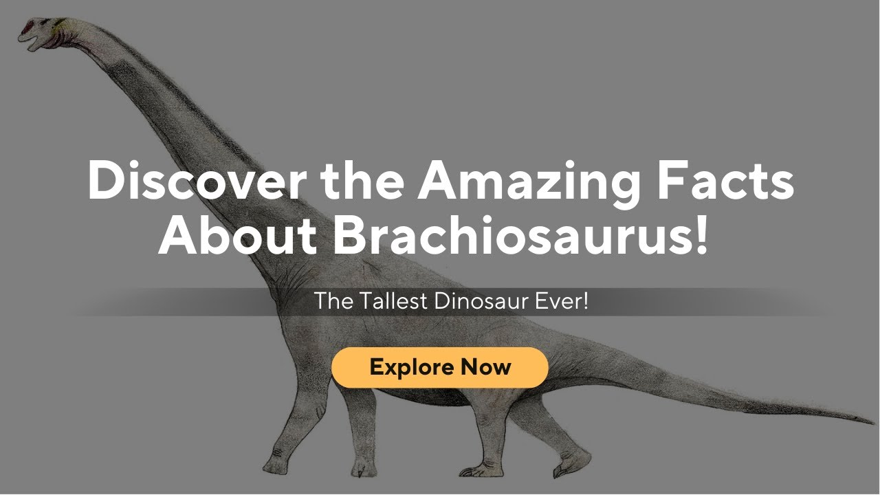 Discover The Amazing Facts About Brachiosaurus: The Tallest Dinosaur ...