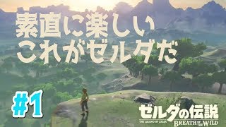 【ゼルダの伝説 ブレス オブ ザ ワイルド】#1 初見プレイ 【シーカーストーンってswitchに似てない？w】Switch