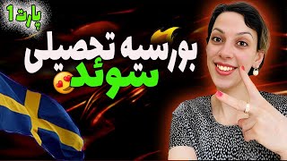 بورسیه تحصیلی سوئد | چطوری از دانشگاه های سوئد بورسیه تحصیلی بگیریم؟ | تحصیل رایگان در سوئد