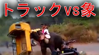 [Elephant vs truck] A truck that is blown away