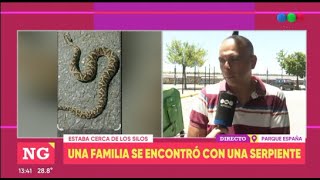 Encuentran serpente en el Parque España  - Telefe Rosario