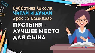 Единство в разнообразии