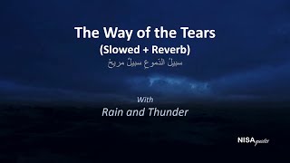 The Way of the Tears (slowed and reverb) with Rain | Lyrics | Relaxing video