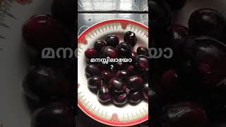 #shorts വയനാടൻ കാഴ്ചകൾ #fruits #wayanad #pozhuthana