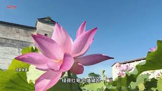 大美嶺南｜從清遠「懸崖村」到廣州花都　鄉間都市共舞生態和諧