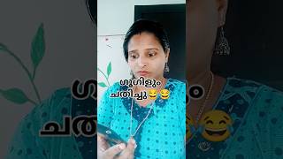 ഈ പാവം എന്നോട് തന്നെ വേണം😂😂#comedy#malluscomedy #comedyfilms#funny #malayalam#funnycomedy #ammoos