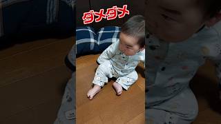 《生後七ヶ月》人生厳しい#shortvideo #育児 #0歳 #おしゃべり#子供 #癒し #あかちゃんのいる生活#ショート#生後7か月 #赤ちゃん#shorts#short #おすわり#成長#特訓　