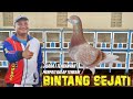 BINTANG SEJATI TOPSONG TEAM MERPATI BALAP TERBAIK