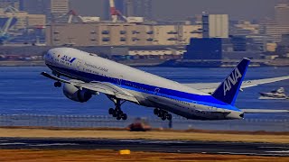 羽田空港 | Smooth Takeoffs and Landings at HND | Haneda Airport Plane Spotting [HND/RJTT]