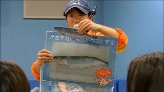 【イルカの飼育ミニ講座 ３ 】 イルカのごはんについて / 名古屋港水族館