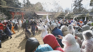 豊作願い、砂かけ合う 奈良・広瀬神社で「砂かけ祭」