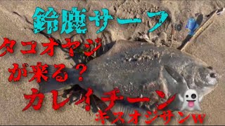 【鈴鹿サーフ】マゴチ釣りわっしょい🎣来たか？キスオジサン　ルアー釣り😎マゴチダービー＃上州屋＃ヒラメ＃カレイ＃フリッパー