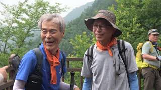 금수산(제천;1,016M) 정기산행 // 계성총동창산우회 // 23-07-02