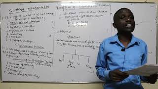 Strategy Implementation