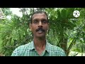 how to bud plants ഫല വൃക്ഷ തൈകൾ എളുപ്പത്തിൽ ബഡ് ചെയ്യാൻ പഠിക്കാം budding tutorial in malayalam