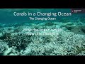 Why the Ocean Matters: Corals in a Changing Ocean (Part 1)