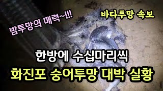 화진포해변 밤숭어투망 대박조과 실황, 자연산 겨울숭어회에 소주 한잔 생각나는 밤, 투망달인 원투형님과 안양고수 김규식 투망사 형님, 철원고수 유기범 투망사님 #화진포해변야간바다투망