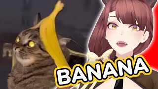 Banana Cat! | Saeko Reacts To Unusual Memes V258