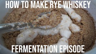 How To Make Rye Whiskey - Fermentation Episode