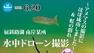 【水中ドローンの撮影にほぼ成功】屈斜路湖の南岸にて、アメマスを発見！季節柄なのか岸寄りにたくさんのニジマスもいました。意外と水中ドローンに警戒しないようです。