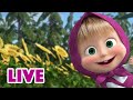 🔴 LIVE STREAM 🎬 Masha and the Bear 🐻🤣 The World Beyond 😲🌎