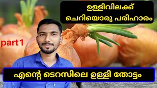 എന്റെ ടെറസിലെ ഉള്ളികൃഷി part 1 |onion terrace farming at kerala |agri tech farming malayalam