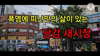 입추 폭염에 피난민의 삶이 느껴지는 당감새시장 #서면 #당감새시장 #전통시장 #재래시장