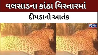 Valsad : વલસાડના કાંઠા વિસ્તારમાં દીપડાનો આતંક - India News Gujarat