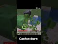 Cactus Dupe in Minecraft