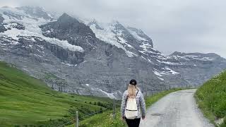 Best Picnic Spot In The World Between Kleine Sheidegg and Wengernalp Switzerland