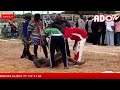 ado tv 🔴en direct combat karbala vs ndiérr bou sapp