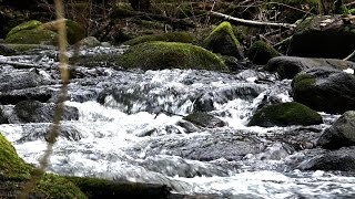 Saidės upelis ir Stirnių piliakalnis