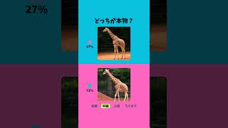 本物どっち【AI vs Real】AIにだまされるな！動物編2