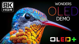 BEST OF OLED - Magnificent Scenery in 8K HDR | Dolby Vision™