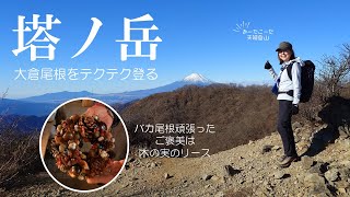 【 塔ノ岳】12月中旬　大倉尾根　通称バカ尾根をひたすら登る。堀山の家で木の実のリースをゲットでご機嫌。富士山と相模湾の絶景を堪能。