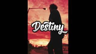 ShyBoe 99 - Destiny