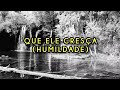 Que Ele Cresça (Humildade) - Deigma Marques (Cover) | Áudio e Letra