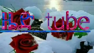 ዜድ Tube