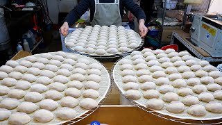 서예가 정신으로 크기와 모양 무게까지 한치 오차없이 똑같이 만드는 평양수제 왕만두 / Korean food dumplings