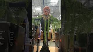 Spotted Animated Pumpkin Scarecrow at Costco! So exited for spooky season! #halloween #spooky #2024