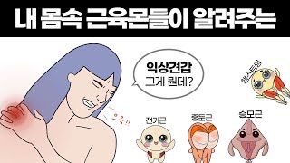 익상견갑 해결 대작전(국내 최초 애니메이션 Ver)