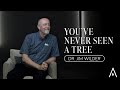 Dr. Jim Wilder - You've Never Seen a Tree