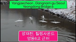 #S33 4K #Yangjaecheon , #Gangnam-gu #Seou  #lYeongdong Bridge 6#양재천, #강남구 #서울#영동6교 근처#힐링사운드