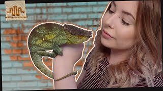 PetTuber EMMA SAMPSON \u0026 Her UNUSUAL Reptile Collection